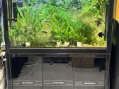 Akvariumas 170 ltr. 142x102x30cm