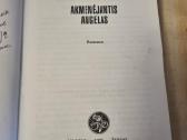 Akmenėjantis angelas - nuotraukos Nr. 2