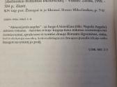 Akmenėjantis angelas - nuotraukos Nr. 3