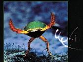 Vangelis 17 CD - 120 eu - nuotraukos Nr. 7