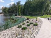 Mėnulio akmens skalda Dekoakmenukai - nuotraukos Nr. 5