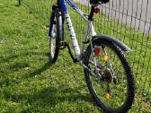 Dviratis Trek 4300 - nuotraukos Nr. 2