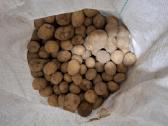 Bulves vidutinio dydžio ir nekondicines - nuotraukos Nr. 2