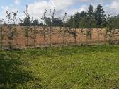 Parduodami nebrangiai skroblai iš grunto 1.8 m - nuotraukos Nr. 3