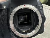 Canon 70d, Efs 17-55mm, f/2.8 Is Usm, Ef 50mm 1.8 - nuotraukos Nr. 11