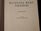 Baltuoja burė vienišoji - nuotraukos Nr. 4