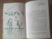 Pranas Mašiotas "Vaikučių pasakėlės" - nuotraukos Nr. 11