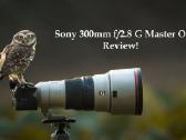 Sony Fe 300mm f/2.8 Gm Oss