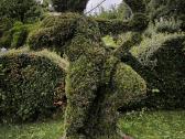 Augalų Skulptūros (Topiary), rėmai - nuotraukos Nr. 9