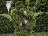 Augalų Skulptūros (Topiary), rėmai