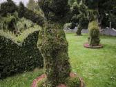 Augalų Skulptūros (Topiary), rėmai - nuotraukos Nr. 10