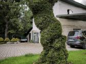 Augalų Skulptūros (Topiary), rėmai - nuotraukos Nr. 3