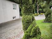 Augalų Skulptūros (Topiary), rėmai - nuotraukos Nr. 12