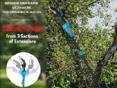 Įrankių rinkinys medžių ir krūmų genėjimui - nuotraukos Nr. 10
