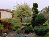 Parduodamas sodo sklypas s/b Dituva - nuotraukos Nr. 11