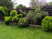 Parduodamas sodo sklypas s/b Dituva - nuotraukos Nr. 14