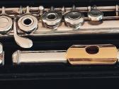 Fleita Yamaha Plutus Plu-2 - nuotraukos Nr. 2
