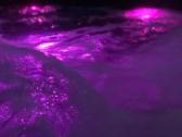 Lauko sukurine vonia/jacuzzi - nuotraukos Nr. 9