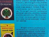 Nakties košmaras - nuotraukos Nr. 3