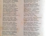 Pranciškonų pasaulis 1936m - nuotraukos Nr. 8