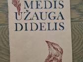 Medis užauga didelis (Saliamonas Paltanavičius)