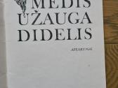 Medis užauga didelis (Saliamonas Paltanavičius) - nuotraukos Nr. 3