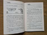 Medis užauga didelis (Saliamonas Paltanavičius) - nuotraukos Nr. 5
