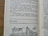 Medis užauga didelis (Saliamonas Paltanavičius) - nuotraukos Nr. 7