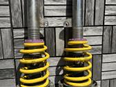 Coiloweriai F39, F44, F45, F46, F48, F54, F60 - nuotraukos Nr. 2