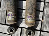Coiloweriai F39, F44, F45, F46, F48, F54, F60 - nuotraukos Nr. 4