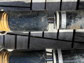 Coiloweriai F39, F44, F45, F46, F48, F54, F60 - nuotraukos Nr. 5