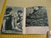 Knyga su daug foto . 1961 m. .zr. foto. - nuotraukos Nr. 6