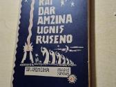 Kai dar amžina ugnis rusenodr. Jonas Remeika