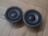 Focal