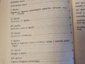 Gydytojas , medicinos sesuo , ligonis - nuotraukos Nr. 3