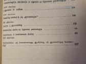 Gydytojas , medicinos sesuo , ligonis - nuotraukos Nr. 4
