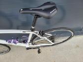 Specialized Dolce - nuotraukos Nr. 5
