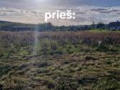 Žolės pjovimas. - nuotraukos Nr. 6