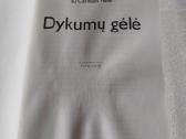 Dykumų gėlė - nuotraukos Nr. 2