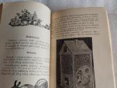 Namų ir mokyklos gyvasis kampelis - nuotraukos Nr. 5
