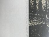 Grafika - nuotraukos Nr. 2