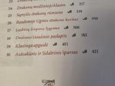 Laura ir drakonų karalių prakeiksmas - nuotraukos Nr. 5