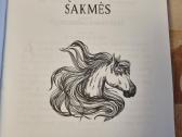 Gražiausios islandų pasakos ir sakmės - nuotraukos Nr. 2
