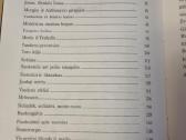 Gražiausios islandų pasakos ir sakmės - nuotraukos Nr. 4