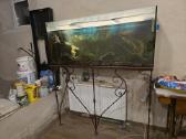 Akvariumas 300 Ltr, stovu ir įranga - nuotraukos Nr. 4