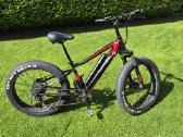 Esonic - E-bike Fat 3D - nuotraukos Nr. 2