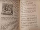 Parduodu knyga historia litwy,1967m - nuotraukos Nr. 9