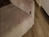 Magrės baldų sofa su foteliu - nuotraukos Nr. 4