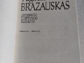 Interviu Lietuvos radijui - nuotraukos Nr. 2