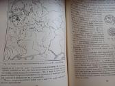 Parduodu knyga,1948m - nuotraukos Nr. 20